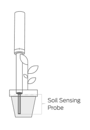 ../../_images/soilquality-in-pot.png